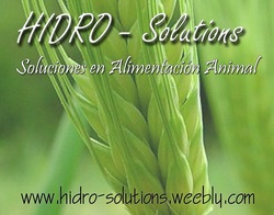 Hidro Solutions